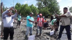 Government Plants 700 mangroves to reduce the risk of natural disasters along the shorelines