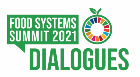 Government realizes national dialogue as preparation for 2021 Food Systems Summit