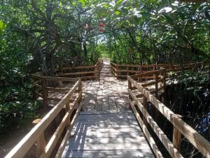 CFF commits to protect marine ecosystem