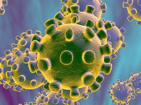 COVID-19 update: TL records four more deaths, 307 infections