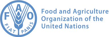 FAO: Food crisis is increasing, livelihoods must be prioritized