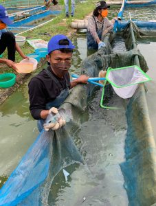 MAF-USAID-NZ helps fish farmers Promote Aquaculture Development in Timor-Leste