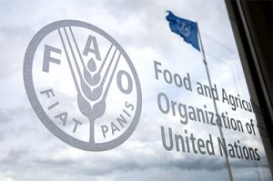 FAO and MAP prepare to establish an early warning service system in the agricultural sector