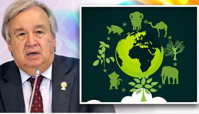 International Day for Biological Diversity: UN urged to end the ‘senseless and destructive war