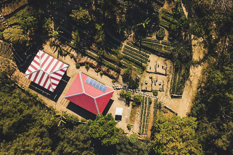 SEA and four NGOs expand the green school program at the municipality level