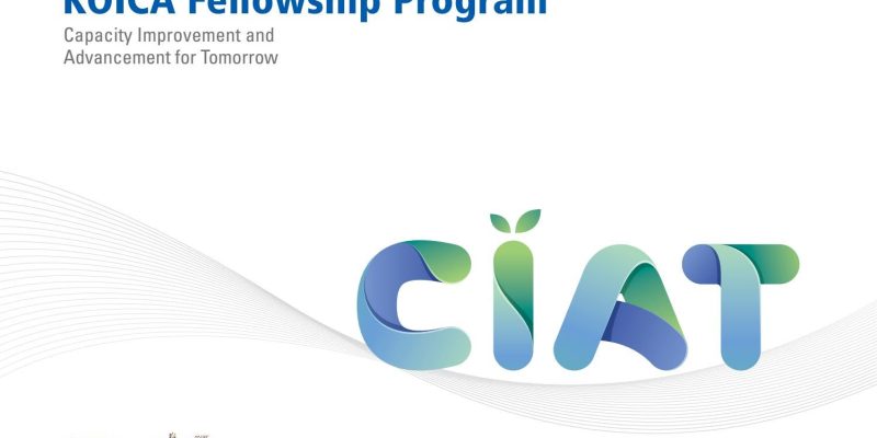 KOICA Fellowship program benefits over 67 Timorese graduates