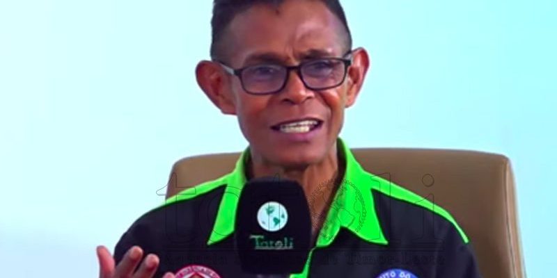 IoB works with 30 farmer groups to cultivate bamboo in nine municipalities