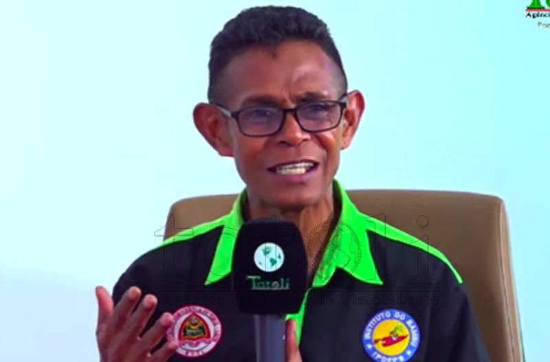 IoB works with 30 farmer groups to cultivate bamboo in nine municipalities