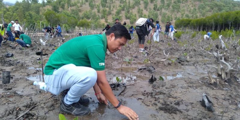 MoAF-HEINEKEN plant 500 mangrove seedlings in Hera-Dili