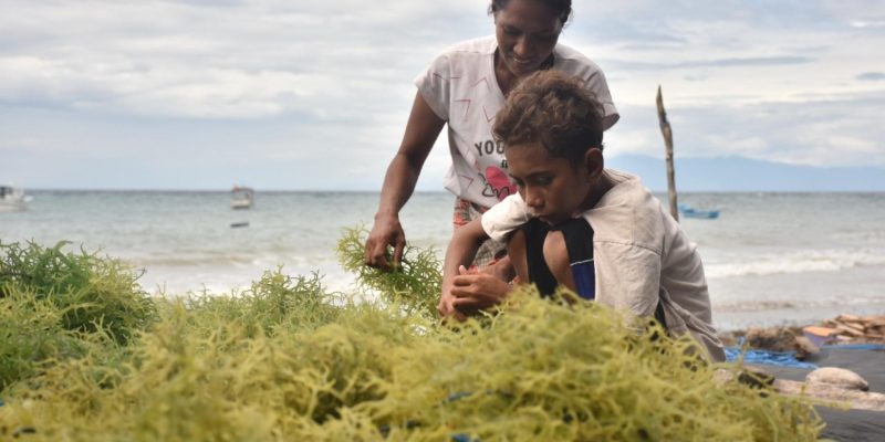 Government Approves in Principle the Strategic Orientation of the Blue Economy Policy and Action Plan