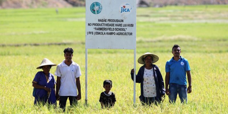 JICA ends its Project for Increasing Farmers Households’ Income in TL