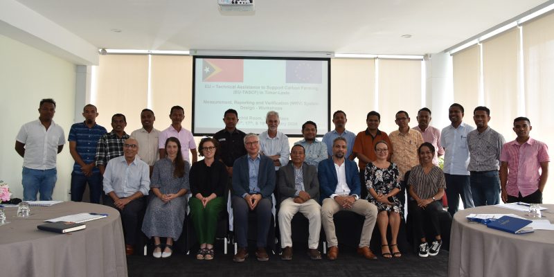 EU-TASCF organizes a four-day workshop to design TL’s National Land Sector MRV System