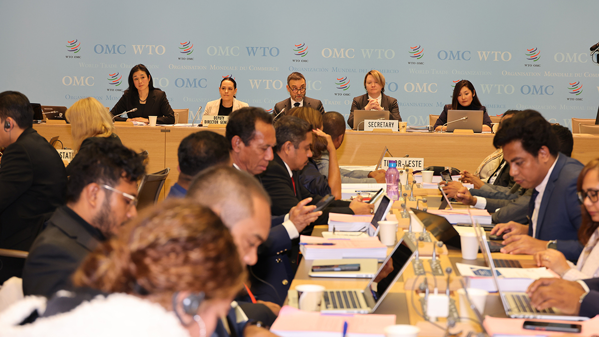 Members endorse TL’s WTO accession package, ready for formal adoption in Abu Dhabi