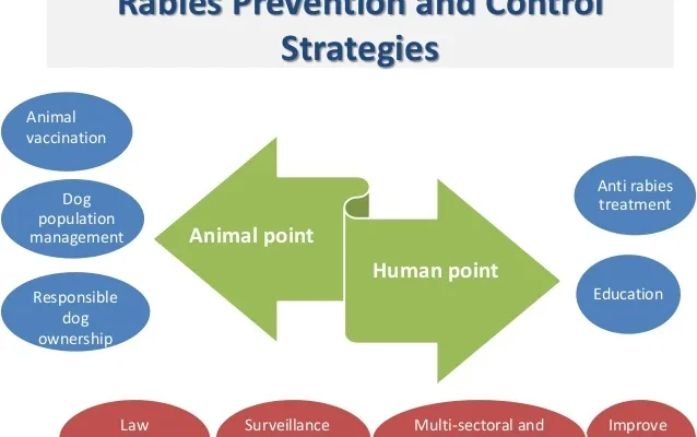 Govt announces rabies virus prevention and control measures