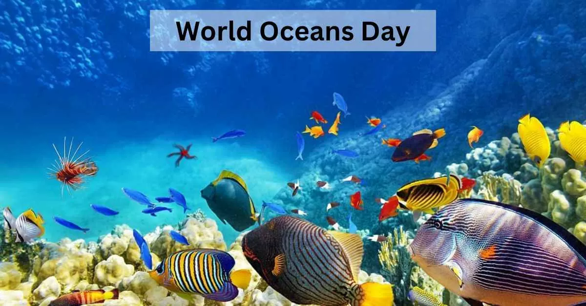 Timor-Leste celebrates World Oceans Day 2024
