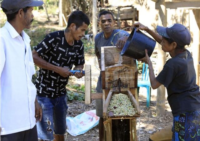 Coffee Exports Drop, Timor-Leste Ships Nothing Else in Q1