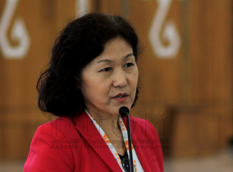DHS 2025 as key to accurate data for national policy – UNFPA Representative Navchaa Suren