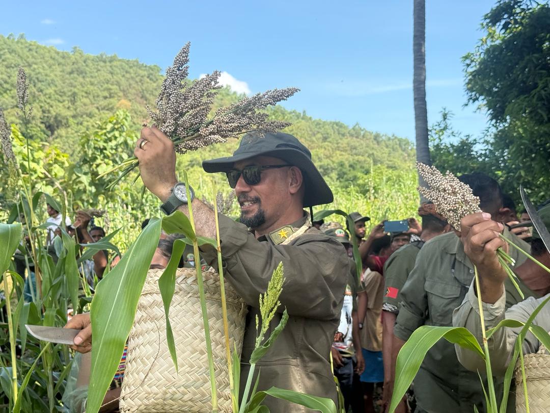 China’s Juncao Technology deemed suitable for supporting Timor-Leste’s Food Program