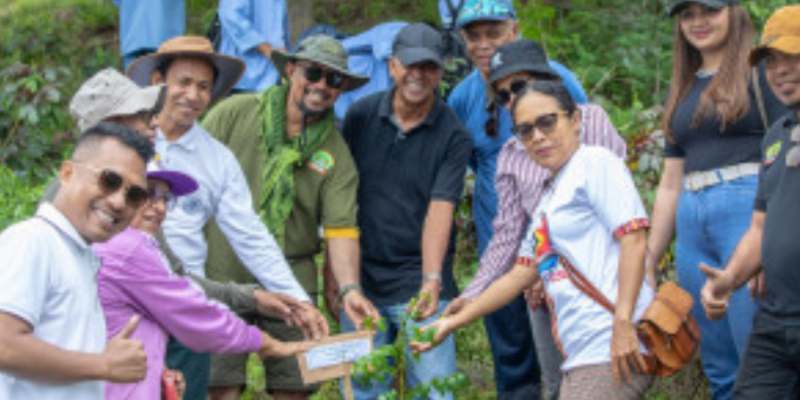 Government begins tree-planting campaign to restore degraded hills in Dili