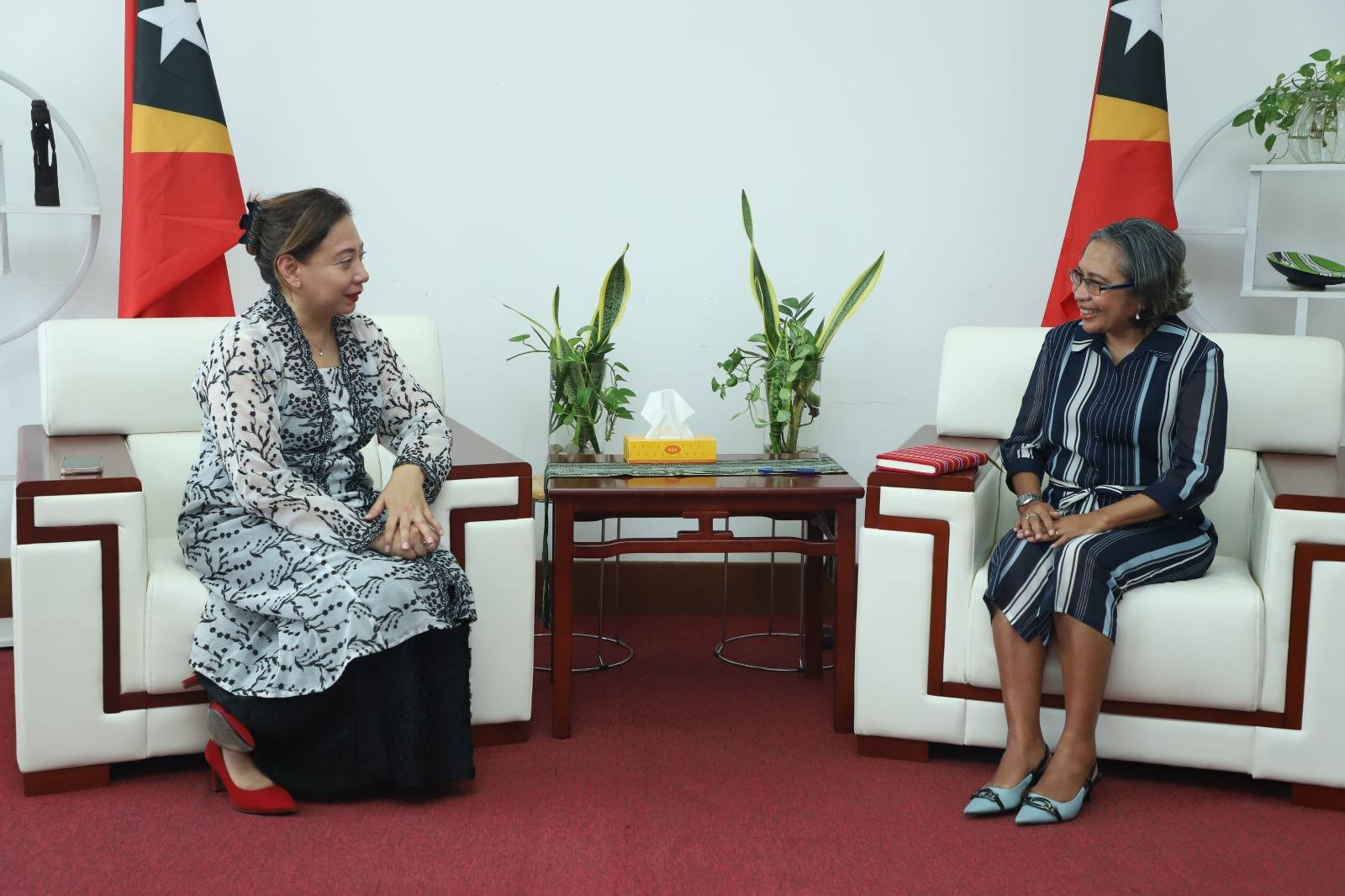 Timor-Leste, OHCHR discuss country program to strengthen human rights