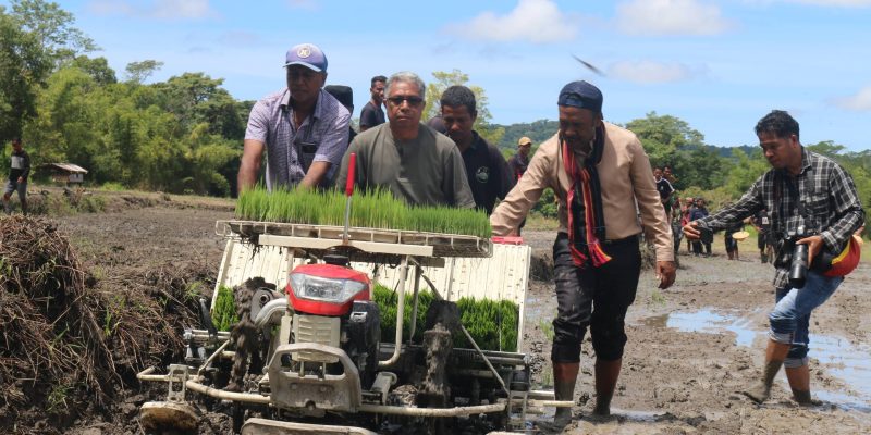 Govt promotes agricultural mechanisation and boosts rice production in Aileu and Ainaro