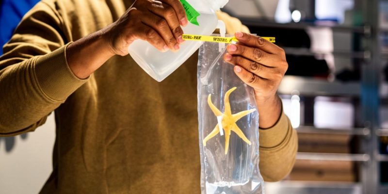 Stealing the Timor Sea: The Secret Industrial War Against Our Sovereignty