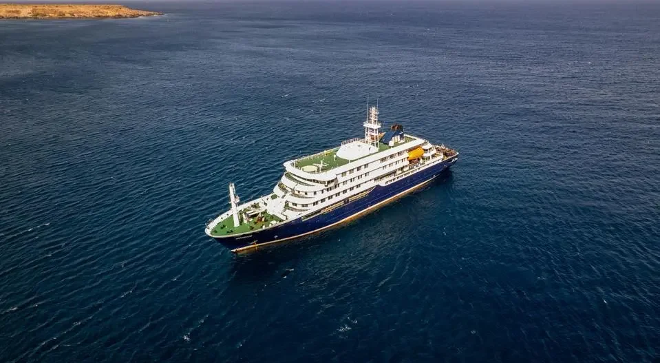 WHO warns of suspected hantavirus outbreak on cruise ship after three deaths