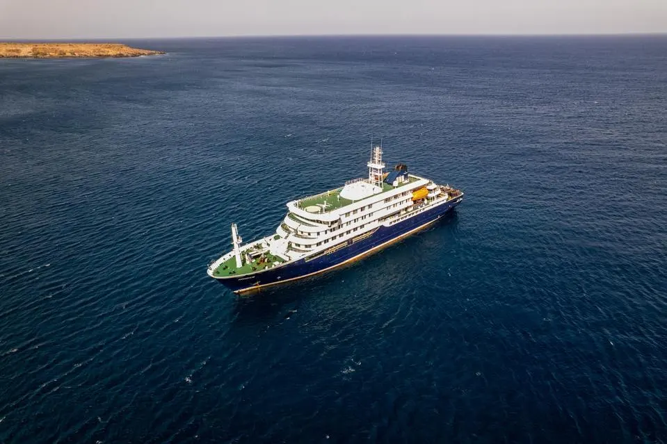 WHO warns of suspected hantavirus outbreak on cruise ship after three deaths