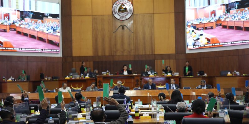 Parliament approves supplementary budget proposal in general terms