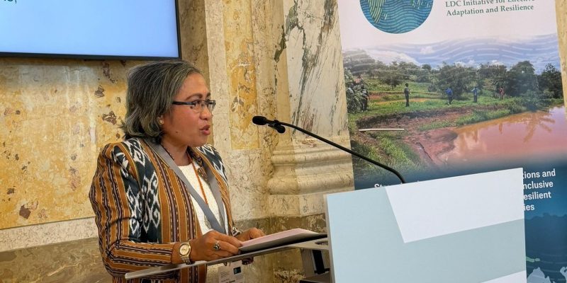 Timor-Leste urges stronger climate financing at Vienna adaptation dialogue