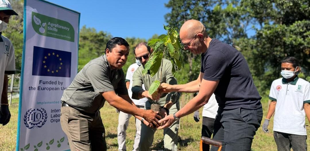 EU High-Level visit highlights agroforestry success in Timor-Leste