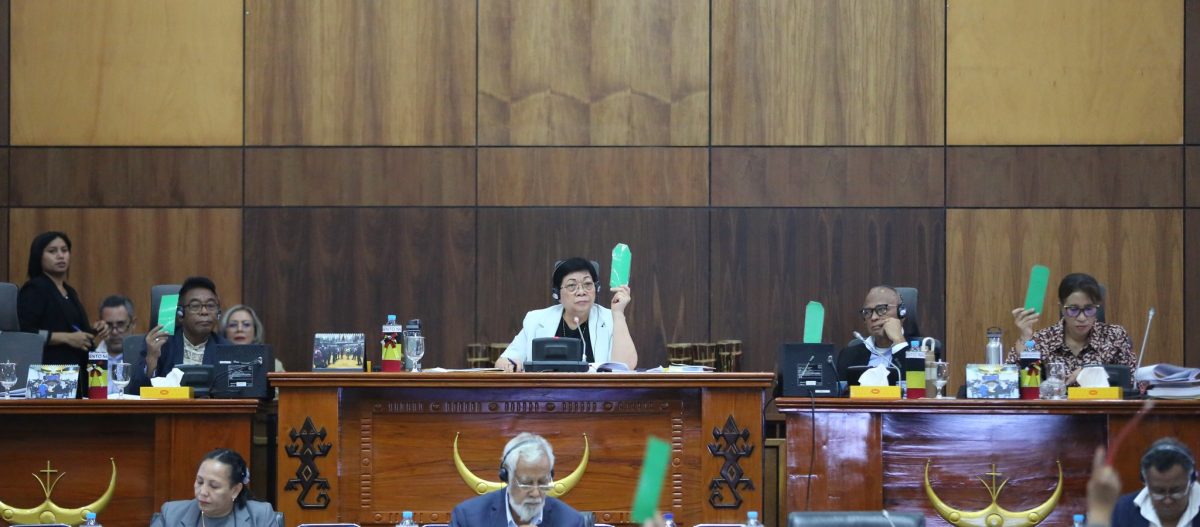 Parliament approves 2026 amended state budget in final global