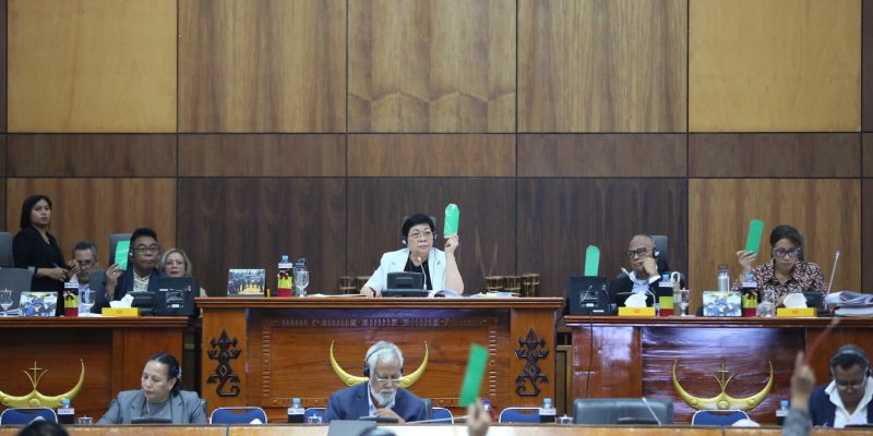 Parliament approves 2026 amended state budget in final global
